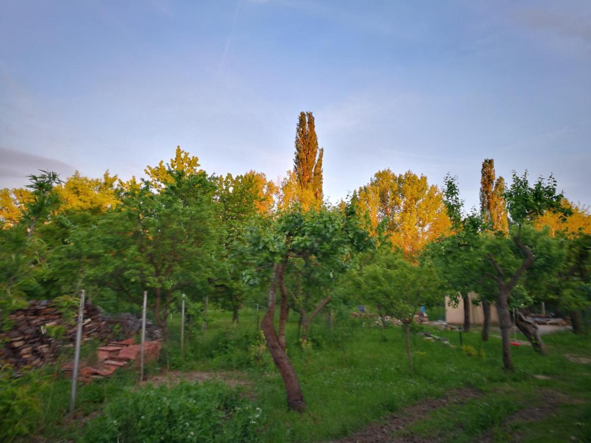 Patak Apartman, Diszel Tapolca Exteriér fotografie
