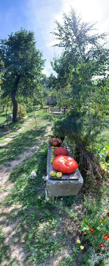 Patak Apartman, Diszel Tapolca Exteriér fotografie