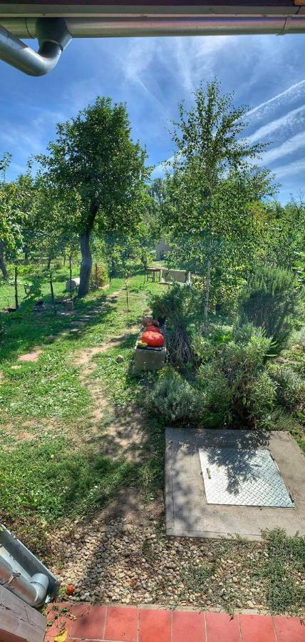 Patak Apartman, Diszel Tapolca Exteriér fotografie