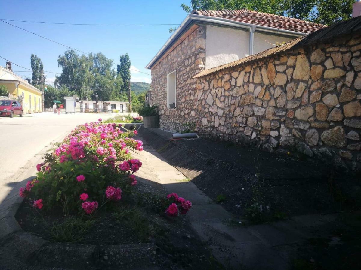 Patak Apartman, Diszel Tapolca Exteriér fotografie